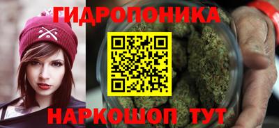Альфа ПВП Краснознаменск