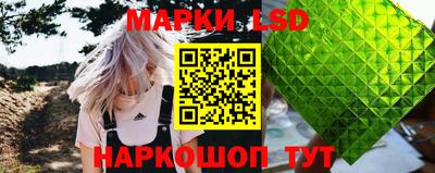 дмт Краснодар